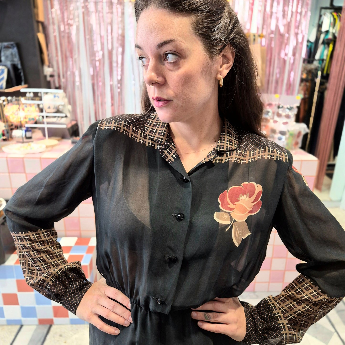 Sheer Vintage Dress