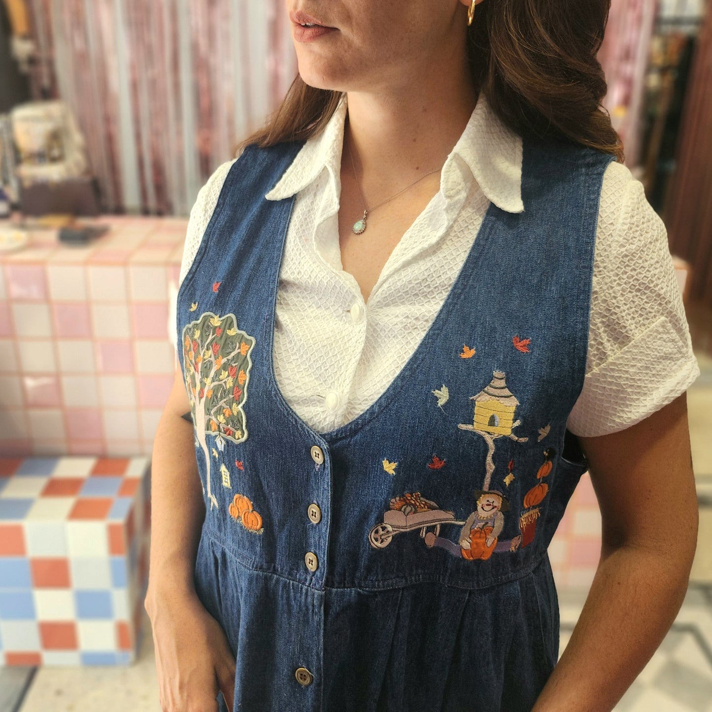 Embroidered Halloween Denim Dress